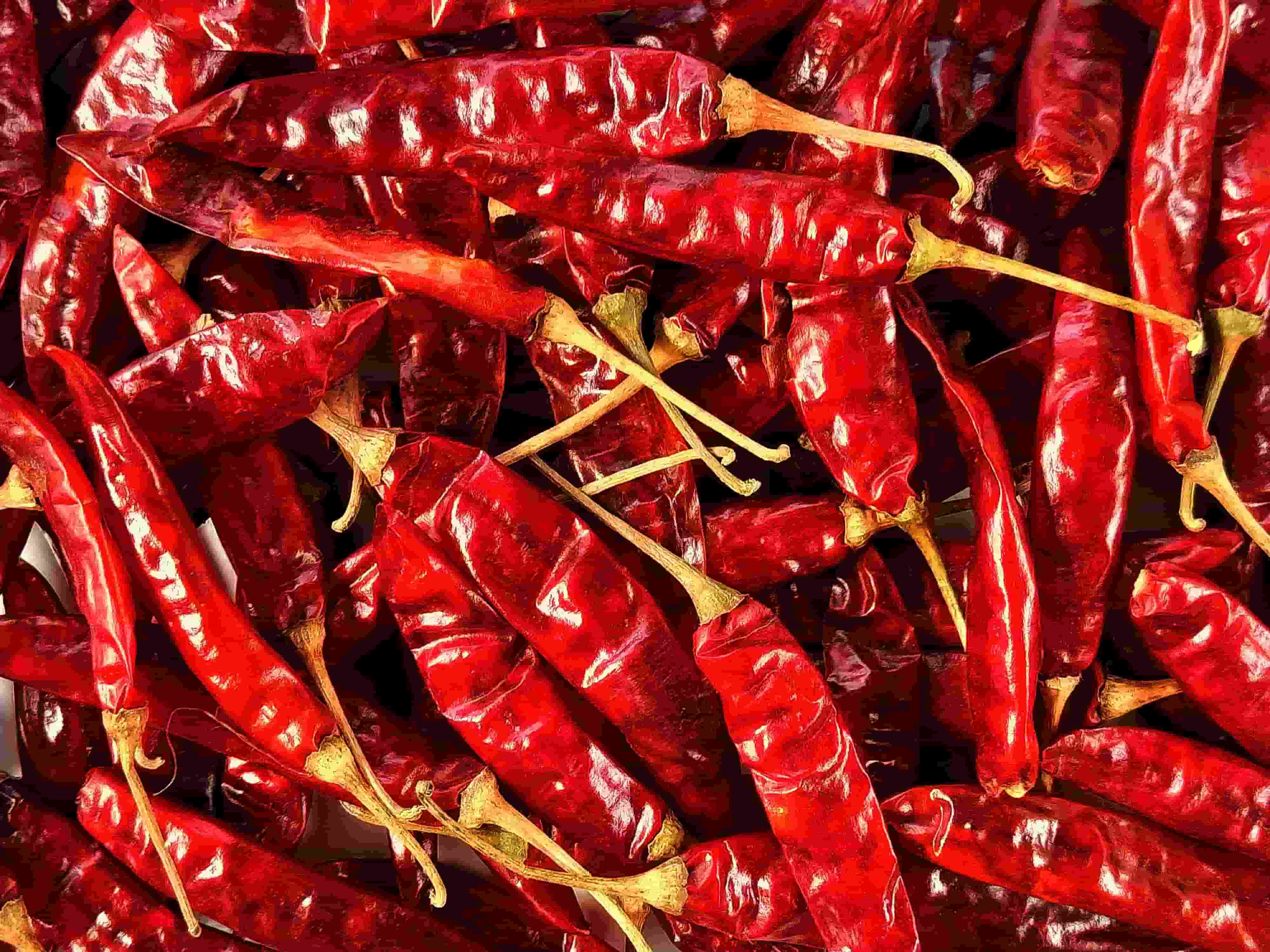  Dry Red chilli 